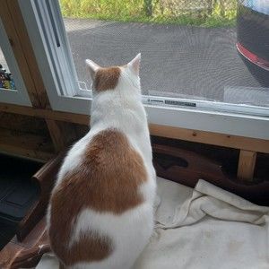 Meet your Posher, Toni